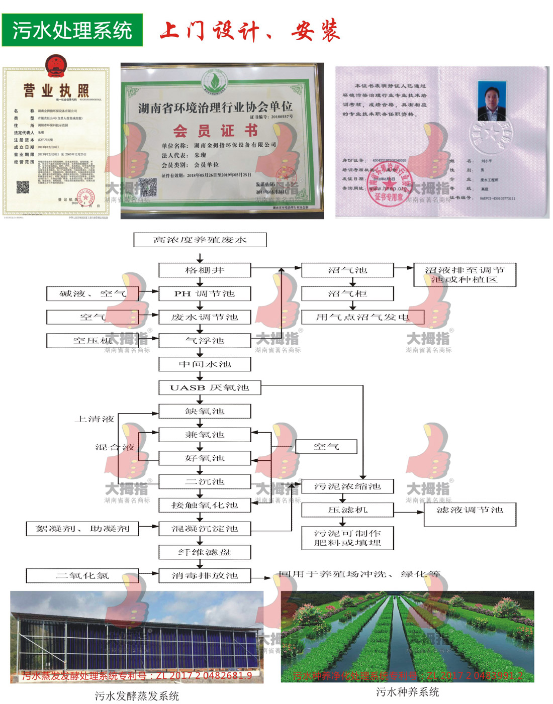 可點擊放大